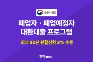 폐업자 저금리·장기 분할상환 프로그램, 폐업자 대환대출, 30년 저금리 분할상환